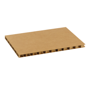 Plaque alvéolaire carton