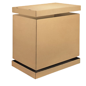 Coiffe carton